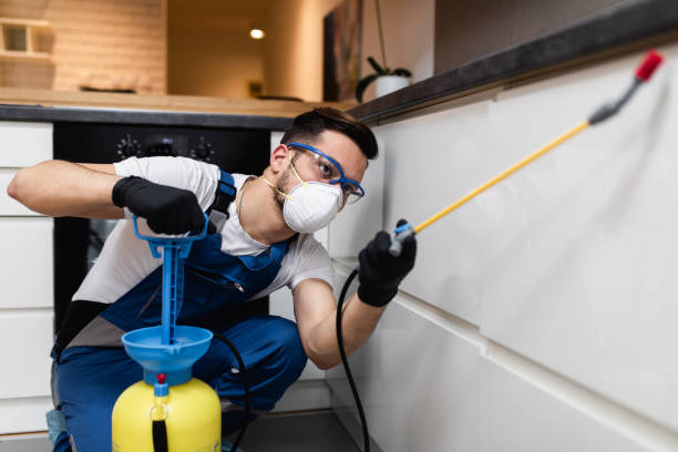 Best Affordable Exterminators  in Casey, IL