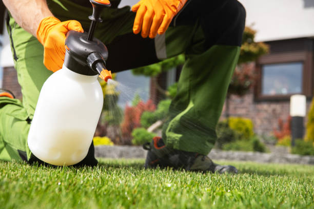 Best Flea Control Services  in Casey, IL