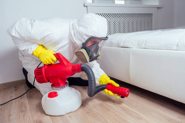 Best Pest Inspection Near Me  in Casey, IL