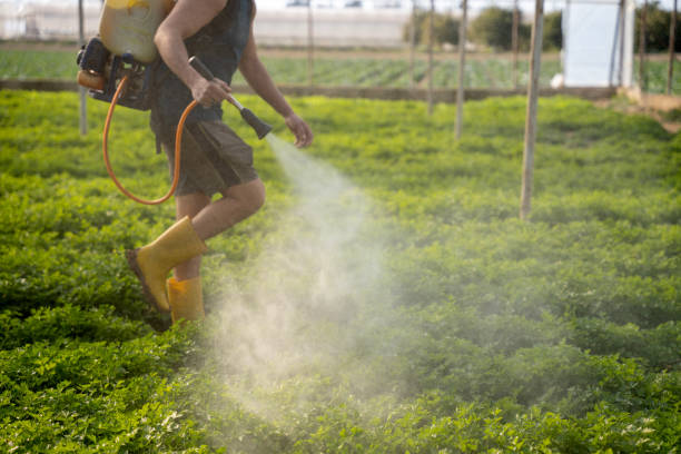 Best Pest Control for Businesses  in Casey, IL