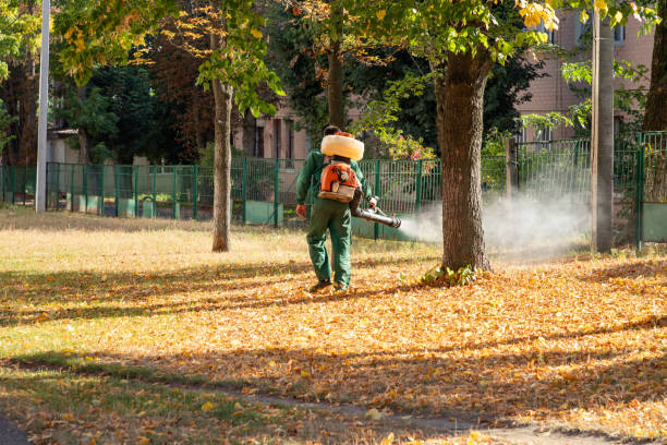 Best Mosquito Control Services  in Casey, IL