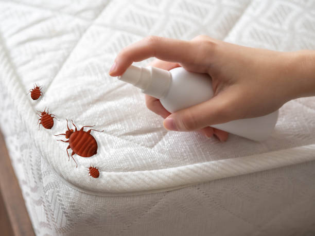 Best Pest Prevention Services  in Casey, IL