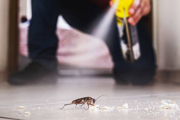 Best Commercial Pest Control Services  in Casey, IL