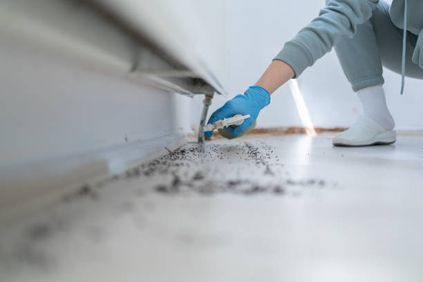 Trusted Casey, IL Pest Control Experts