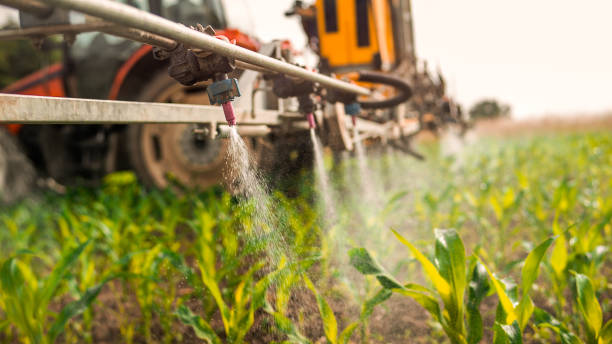Best Pest Removal Services  in Casey, IL
